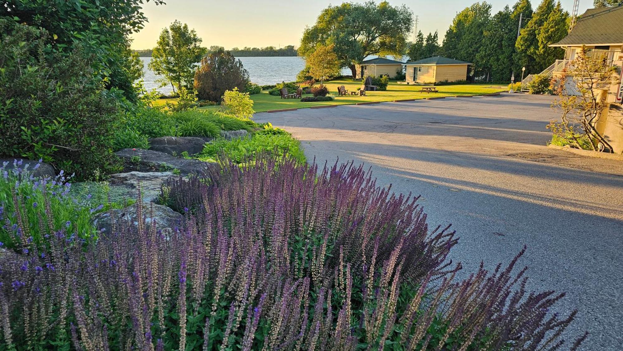 Hotel Oasis Lac St-Louis Salaberry-de-Valleyfield Exterior foto